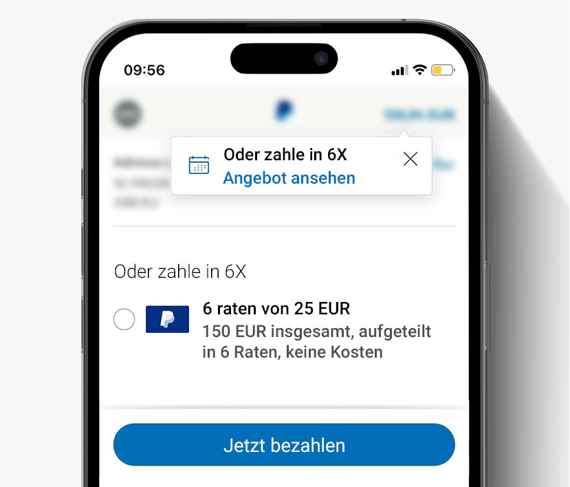 paypal raten